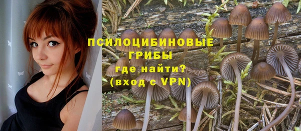 гидропоника Липки