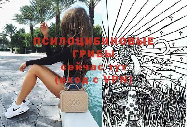 spice Магас
