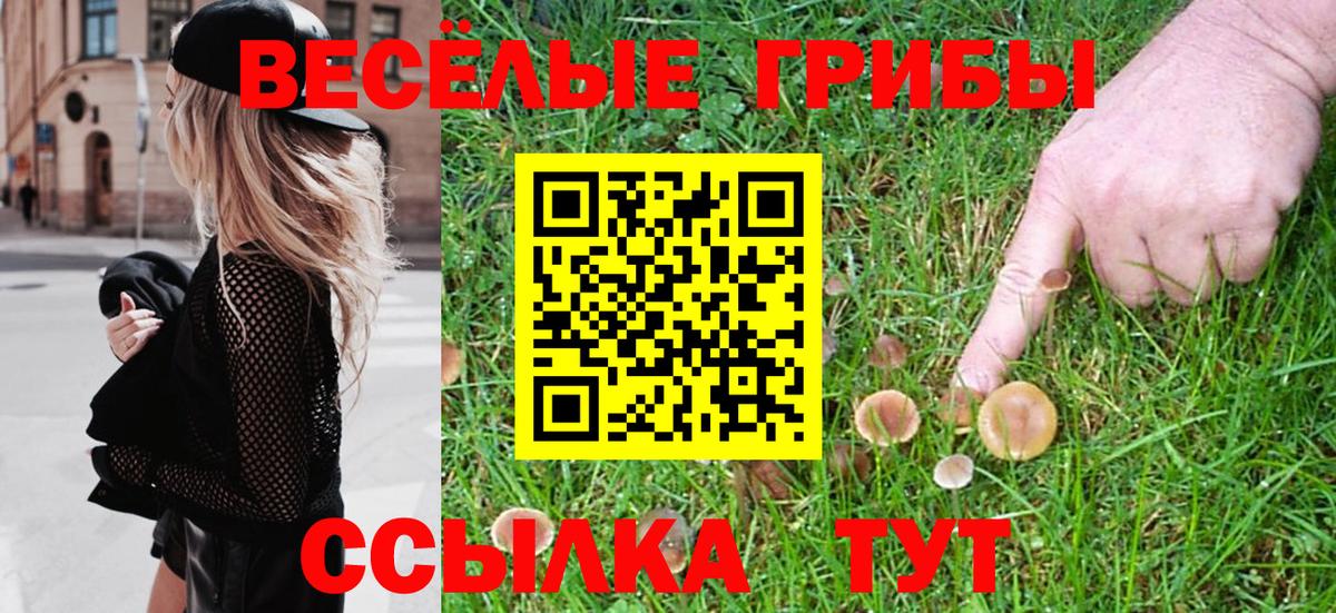 Псилоцибиновые грибы прущие грибы Мурино